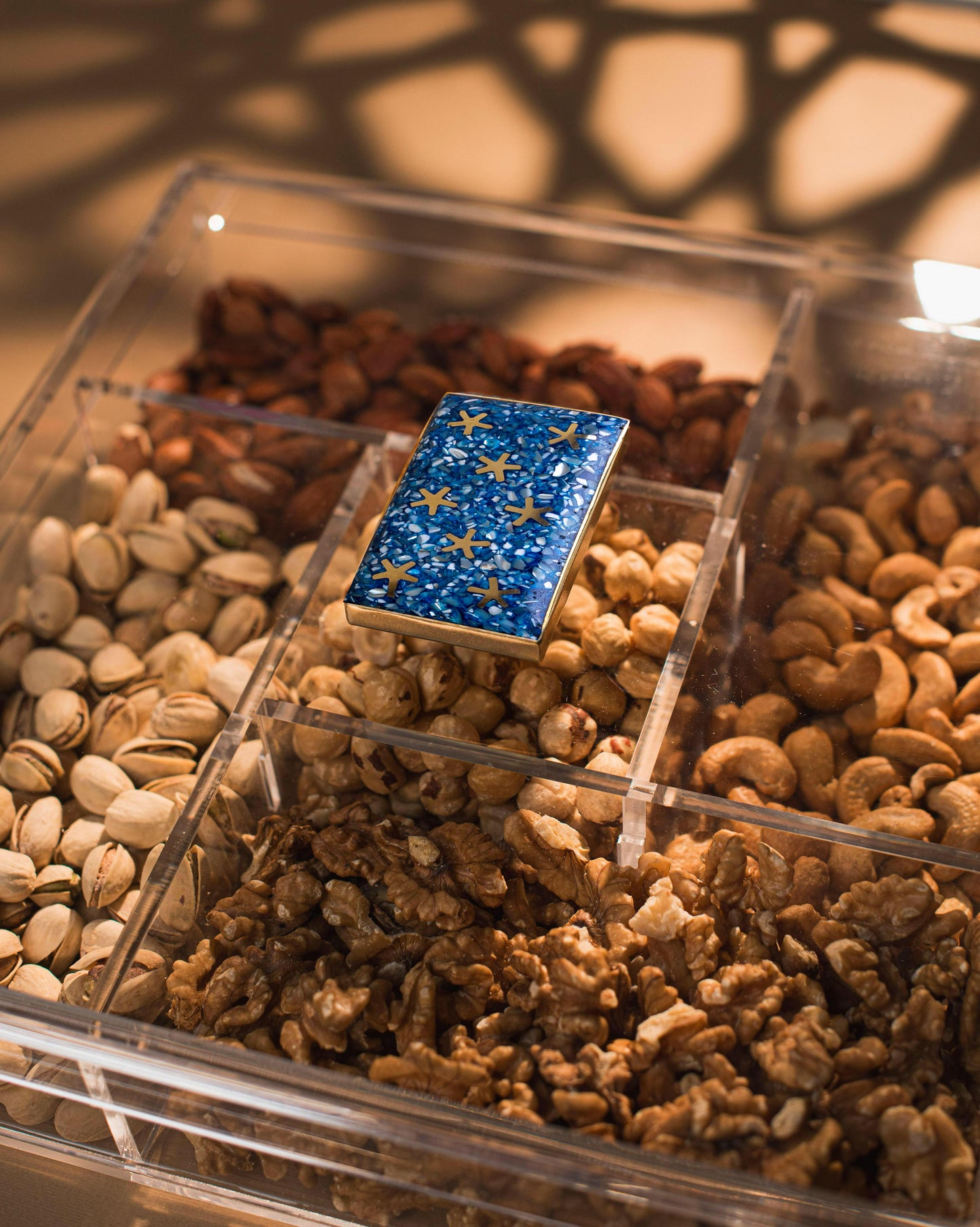 Treat Treasure  Organizer