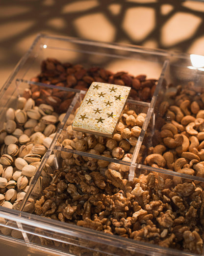 Treat Treasure  Organizer