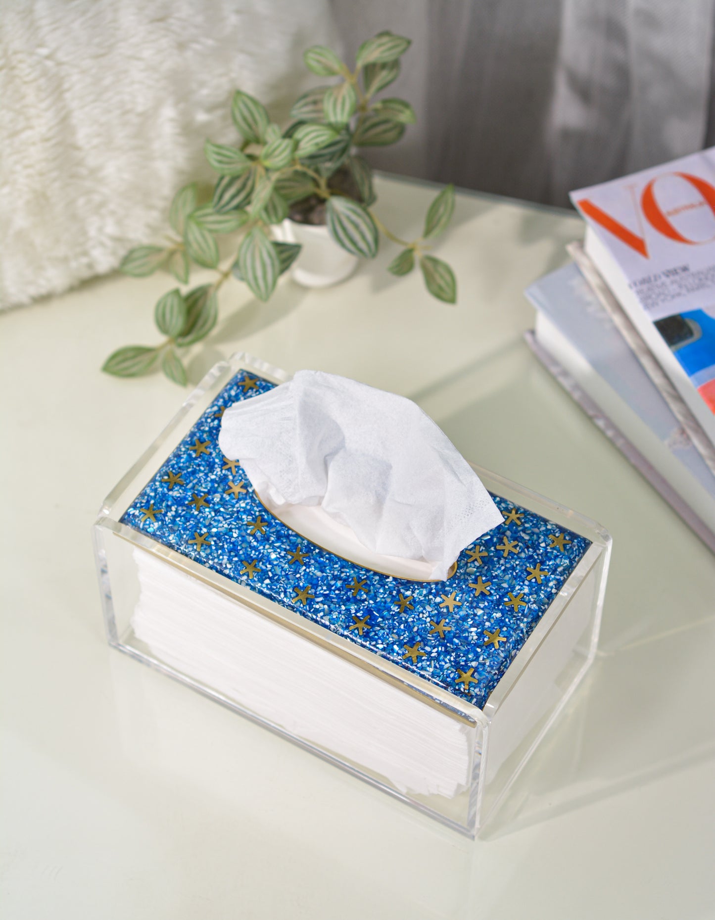 Nut sky Tissue box