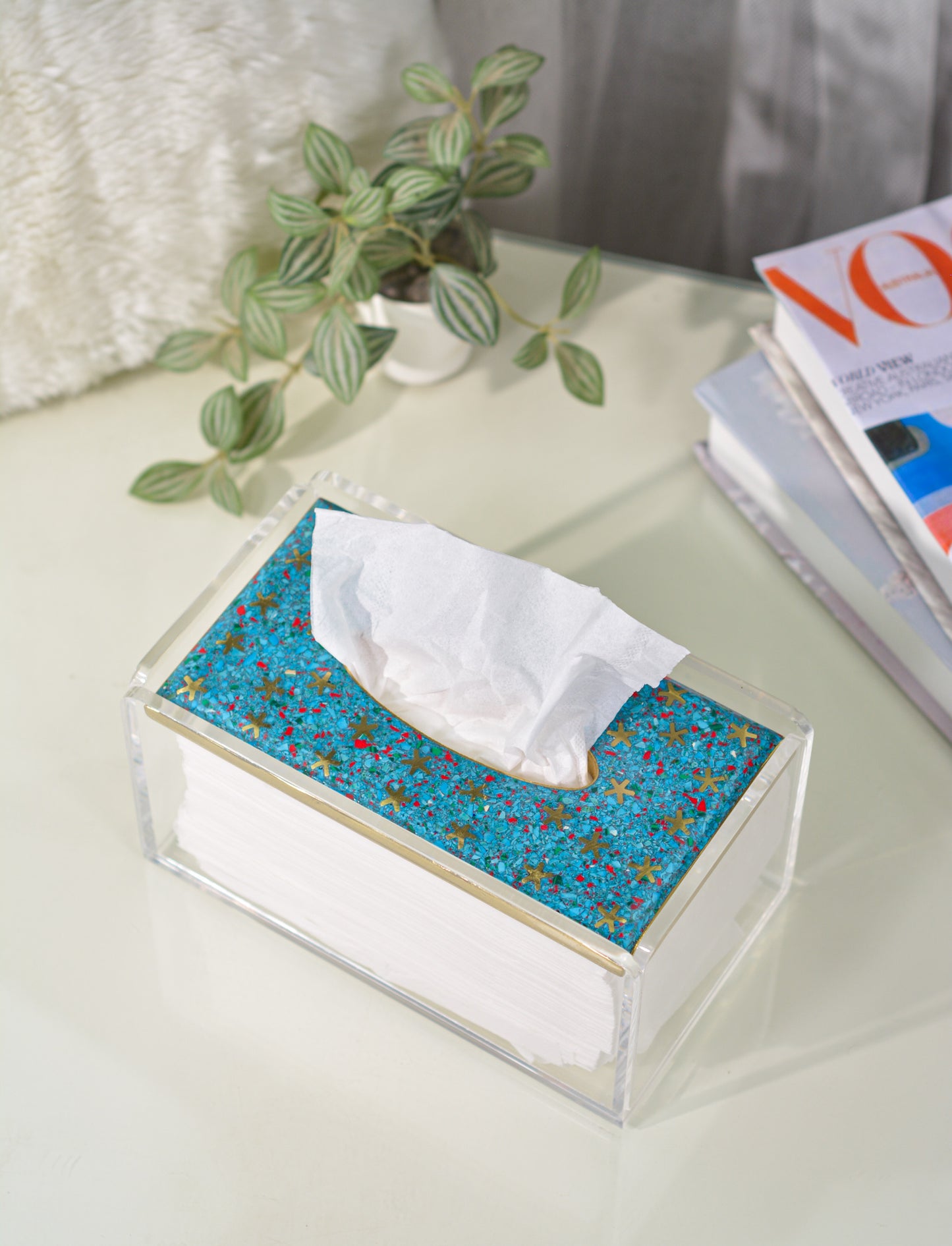 Nut sky Tissue box