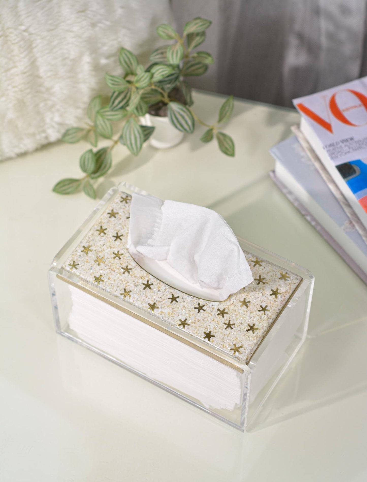 Nut sky Tissue box